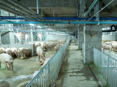Ảnh bìa bài viết 931598