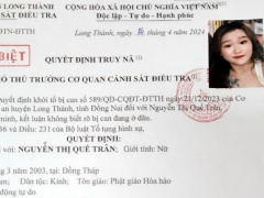 Ảnh bìa bài viết 931690