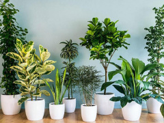 Ảnh bìa bài viết 931932