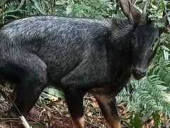 Ảnh bìa bài viết 932058