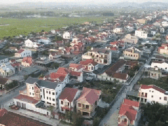Ảnh bìa bài viết 932210