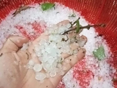 Ảnh bìa bài viết 932203