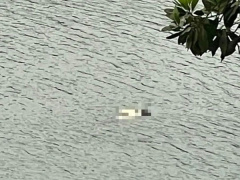 Ảnh bìa bài viết 932133