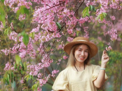 Ảnh bìa bài viết 932415