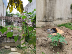 Ảnh bìa bài viết 932508