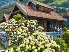Ảnh bìa bài viết 932536