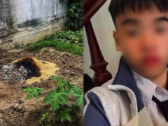 Ảnh bìa bài viết 932719