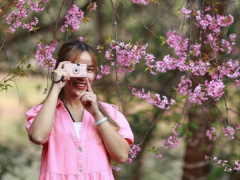 Ảnh bìa bài viết 932714