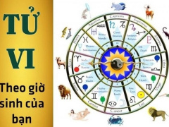 Ảnh bìa bài viết 932939