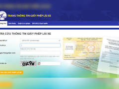 Ảnh bìa bài viết 933133