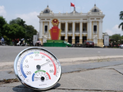 Ảnh bìa bài viết 933508
