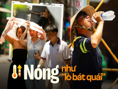 Ảnh bìa bài viết 933447