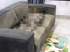 Ảnh bìa bài viết 933899