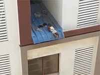 Ảnh bìa bài viết 933866