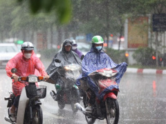 Ảnh bìa bài viết 933893