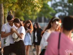 Ảnh bìa bài viết 933801