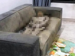 Ảnh bìa bài viết 934518