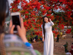 Ảnh bìa bài viết 934631