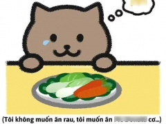 Ảnh bìa bài viết 934987