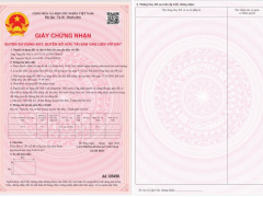 Ảnh bìa bài viết 934907