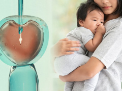 Ảnh bìa bài viết 935077