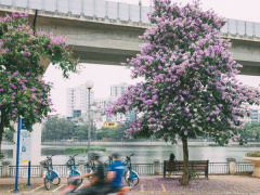 Ảnh bìa bài viết 935204