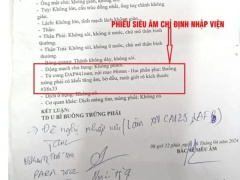 Ảnh bìa bài viết 935516