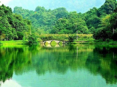 Ảnh bìa bài viết 935479