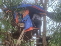Ảnh bìa bài viết 935828