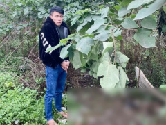 Ảnh bìa bài viết 935922