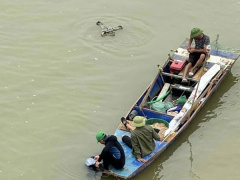 Ảnh bìa bài viết 936475
