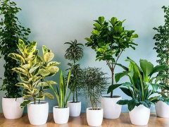 Ảnh bìa bài viết 936423