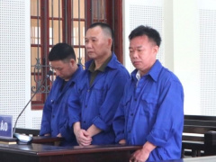 Ảnh bìa bài viết 936536