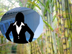Ảnh bìa bài viết 936812