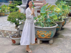 Ảnh bìa bài viết 936658