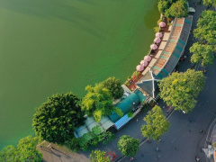 Ảnh bìa bài viết 936837