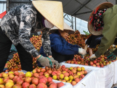 Ảnh bìa bài viết 937018