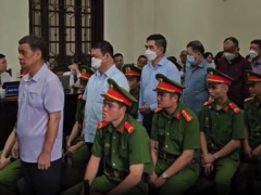 Ảnh bìa bài viết 937181