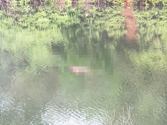 Ảnh bìa bài viết 937762