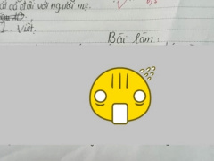 Ảnh bìa bài viết 938839
