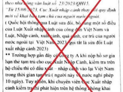 Ảnh bìa bài viết 939205