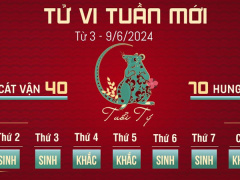 Ảnh bìa bài viết 939336