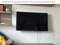 Ảnh bìa bài viết 939947