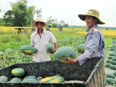 Ảnh bìa bài viết 940370