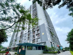 Ảnh bìa bài viết 940645