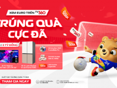 Ảnh bìa bài viết 941331