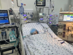 Ảnh bìa bài viết 941246