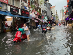 Ảnh bìa bài viết 941298
