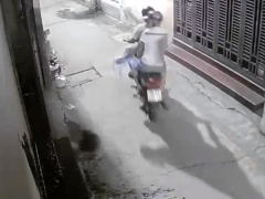 Ảnh bìa bài viết 941485