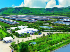 Ảnh bìa bài viết 941765